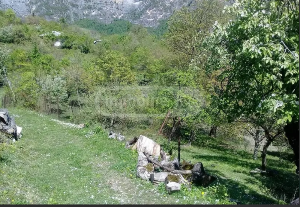 იყიდება სასოფლო-სამეურნეო მიწის ნაკვეთი ცაგერში